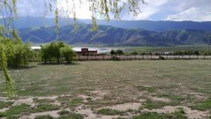 La escondida las siringuillas