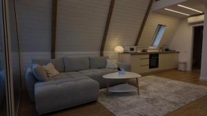 Air Cabin, Cabana tip A-frame in Șerani, Bihor