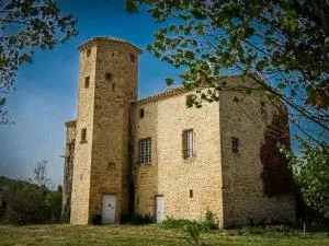 Le domaine de pepe - Pécharic-et-le-Py