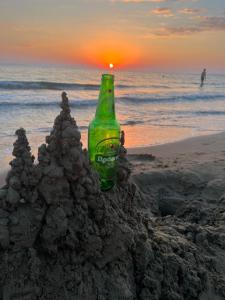 DORAS HOUSE Douneika