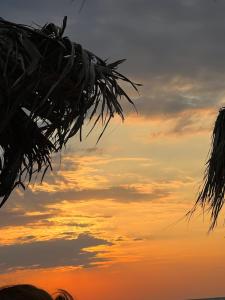 DORAS HOUSE Douneika