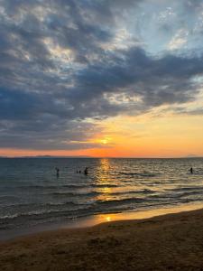 DORAS HOUSE Douneika