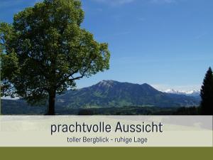 Ferienhof Eger - entspannter Urlaub mit Baby & Kleinkind - wahlweise top modern oder günstige Fewos - ruhig am Ende der Straße - Kälbchen füttern - Traktor fahren - Freie Fahrt mit den Hörnerbahnen in Sommersaison - E-Ladestation - E-bike Verlei