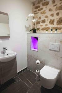Appartements La reine d-Orel - Jacuzzi prive : photos des chambres