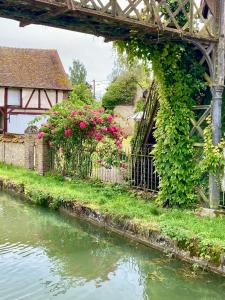 Appartements La maison Virginie 1 a 2 pers charmant central-parking gratuit- linge- fibre- proximite port lac canal piscine : photos des chambres