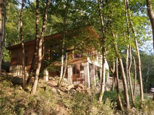 chalet sur pilotis en perigord
