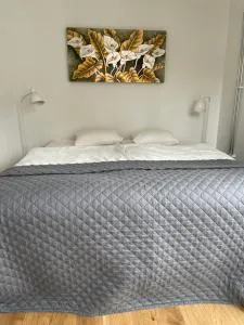 Ruddbecksgatan AA - Kvicksund