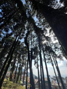 Sunrise Eco Stay