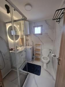 Coso House Ada Bojana