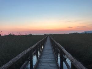 Stanza accogliente e ricercata