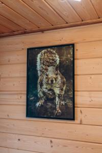 Forest hugs котедж Славсько