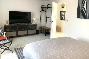 Appartements Mas Chansonnet Gites et Chambres d'hotes de charme : photos des chambres
