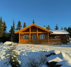 Family-Friendly Cabin In Nordseter Near Ski Trails - Эйер