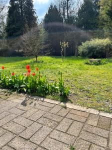 De Reinakker Bungalow