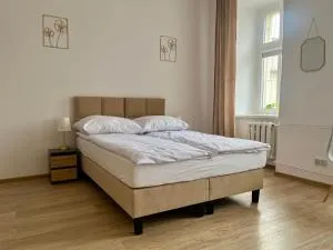 Narutowicza 5 Apartments - Gniewkowo
