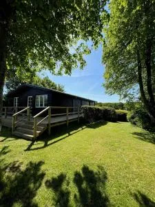Outdoor Life And Panoramic View Over The Forest - Lundø