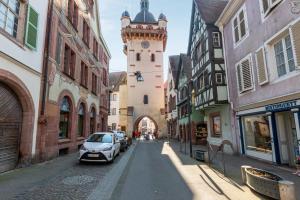 Appartements LE RHENANUS Jacques Taurellus - appartement duplex au calme - centre ville - parking gratuit : photos des chambres