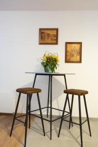 LE RHENANUS Jacques Taurellus - appartement duplex au calme - centre ville - parking gratuit