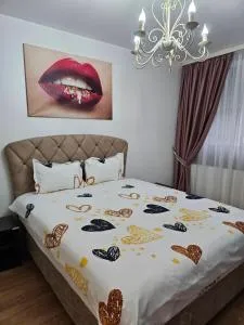 CHIC APARTMENT- Place to Remember - Ţiglina