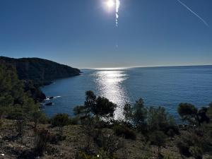 B&B / Chambres d'hotes L' Inattendu, entre terre et mer ! : photos des chambres