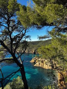 B&B / Chambres d'hotes L' Inattendu, entre terre et mer ! : photos des chambres