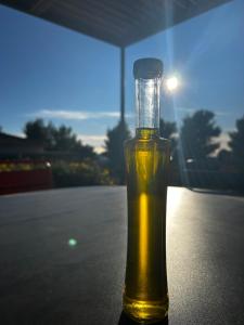 B&B / Chambres d'hotes L' Inattendu, entre terre et mer ! : photos des chambres