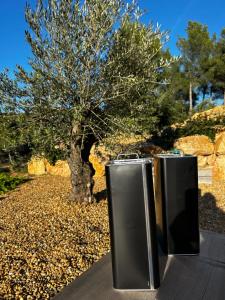 B&B / Chambres d'hotes L' Inattendu, entre terre et mer ! : photos des chambres