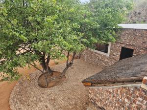 Kaoko Bush Lodge