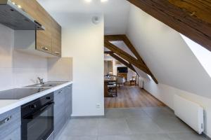 Appartements LE RHENANUS Jean Geiler de Kaysersberg - appartement ideal pour famille, au calme - centre ville - parking gratuit : photos des chambres