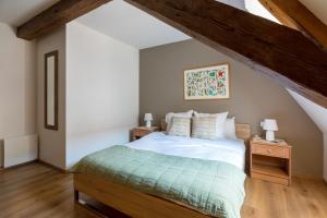 Appartements LE RHENANUS Hans Sapidus - appartement spacieux, au calme - parking gratuit : photos des chambres