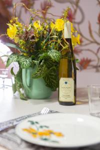 Appartements LE RHENANUS Hans Sapidus - appartement spacieux, au calme - parking gratuit : Appartement 1 Chambre