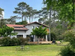 Villa Laguillotte avec Spa et Nature Proche Océan - FR-1-791-33 - Seignosse