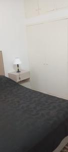 TEMPORARY rental mendoza