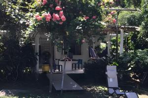 Magical Lake Cabin - Ski Shack