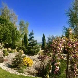 chez Délicia chambre d'hôte - Concèze