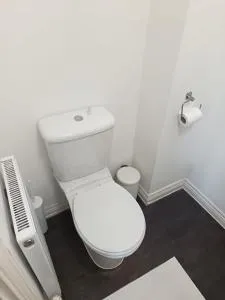 4 Bed House near Lakeside Shopping Centre - 北斯蒂福德