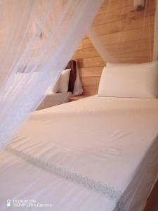 Lotus Ella Homestay
