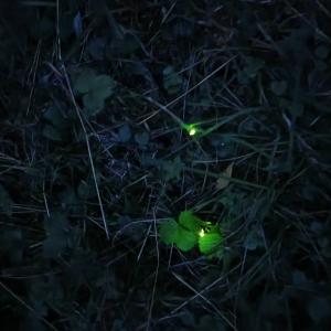 La Canotière - Petite maison pour 2 personnes à Vienne en Arthies