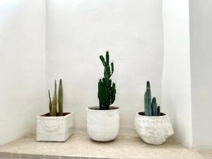 Appartamento Piazza e Onde