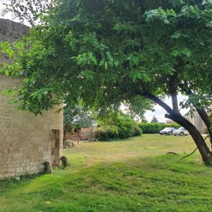 B&B / Chambres d'hotes Le Jardin des Bosquets : photos des chambres