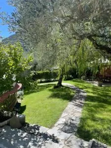 Salice Felice - Collabassa