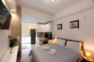 Modern studio apartment A