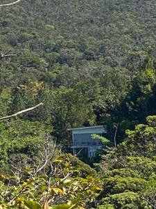 Naturaleza, Flora y Fauna