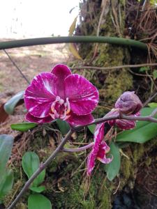 Naturaleza, Flora y Fauna