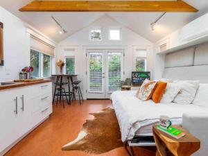 Star Studio, A Modern Dream