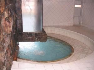 Thermas Millenium Residence