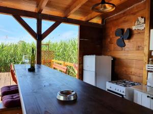 Ivana Houses Ada Bojana