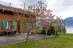 Ferienhaus Schwand - 吉斯维尔