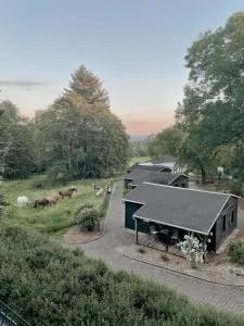 Ludwigslust Vogtland de - Ideal für Naturliebhaber & Fellnasen - Langenbach