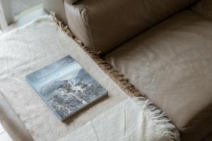 Appartements Magnificent Apartment in Chatillon : photos des chambres